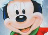 Disney Mickey Mikulás belül bolyhos hosszú ujjú ru