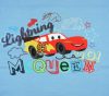 Disney Cars/Verdák 60x120 cm matrachuzat