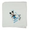 Disney Mickey textil tetra kifogó 140x140cm