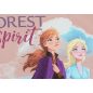 Frozen/ Jégvarázs hosszú ujjú lányka póló