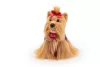 Trudi Yorkshire Willy - 21cm