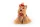Trudi Yorkshire Willy - 21cm