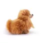 Trudi Pomerániai törpespicc, Biscuit - 23cm