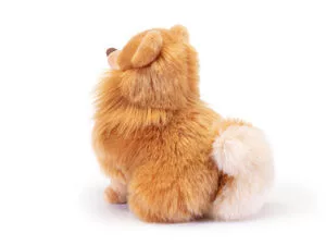 Trudi Pomerániai törpespicc, Biscuit - 23cm