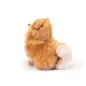 Trudi Pomerániai törpespicc, Biscuit - 23cm