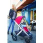 UPPAbaby Vista babakocsi + mózeskosár - "Denny"