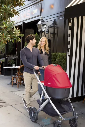 UPPAbaby Vista babakocsi + mózeskosár - "Denny"