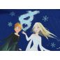 Disney Frozen II./Jégvarázs II. hosszú ujjú lányka ruha
