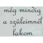   Rövid ujjú "még mindig a szüleimnél lakom" feliratos baba body