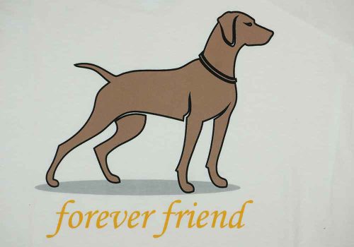 Rövid ujjú férfi póló vizsla mintával fehér színben