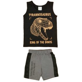 Dinoszauruszos kisfiú nyári szett