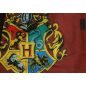 Fiú fürdőboxer Harry Potter-es mintával