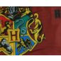 Fiú fürdőboxer Harry Potter-es mintával