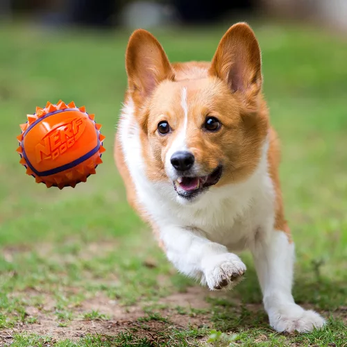 NERF DOG Játék kutyáknak tüskés labda 9 cm