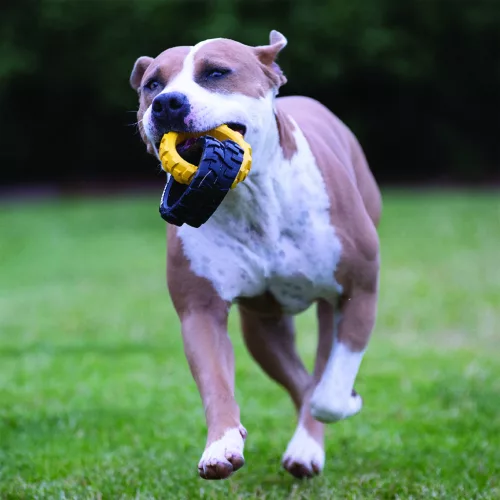 TONKA Gumijáték kutyáknak, 3-gyűrűs húzóka rugalmas mintával, 27 cm