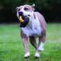   TONKA Gumijáték kutyáknak, 3-gyűrűs húzóka rugalmas mintával, 27 cm