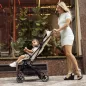 PETITE&MARS Sport babakocsi Fly Sahara Beige