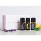 doTERRA Introductory Kit - Intro szett 3-as alapcsomag 3x5ml