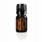 doTERRA Yoga Collection Kit