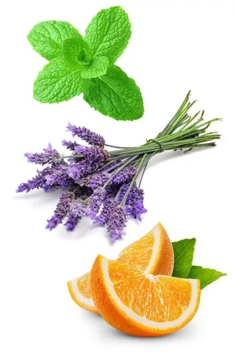 doTERRA - Adaptív nyugtató Touch keverék olaj 10 ml -