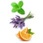 doTERRA - Adaptív nyugtató Touch keverék olaj 10 ml -