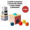 Taf Toys kockapiramis - Északi Sark érzékfejlesztõ labdákkal  12735