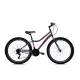 Capriolo Diavolo 600 26" női MTB kerékpár 17" Grafit-Lila