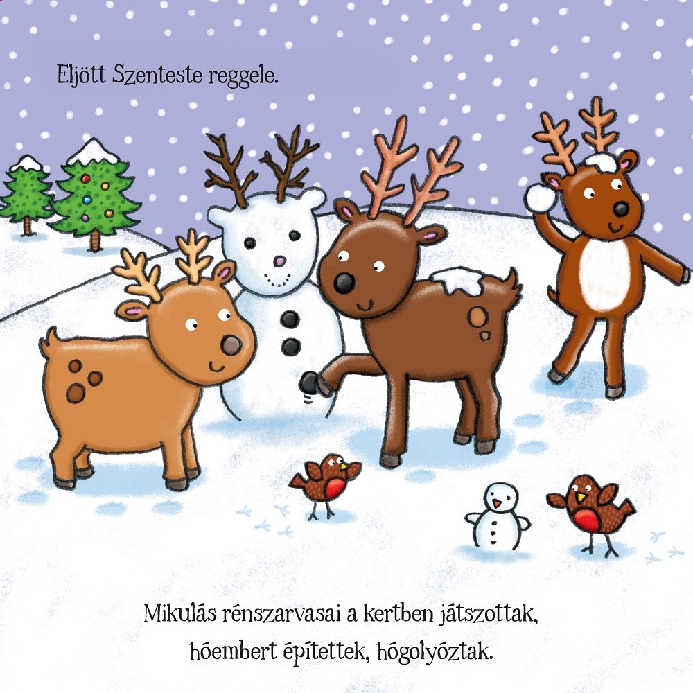 Téli történetek simogasd meg - A kicsi rénszarvas választása (9789634459668)