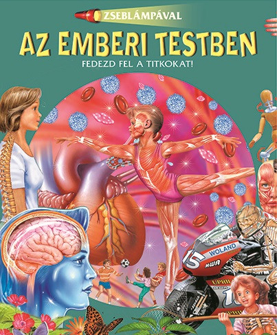 Zseblámpával - Az emberi testben