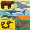 101 színes kép a vadon élő állatokról