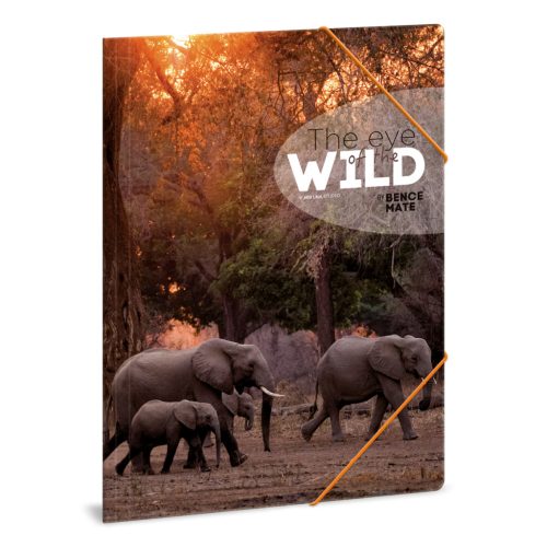 Ars Una Máté Bence The Eyes Of The Wild - Elephant A/4 Gumis Dosszié - Ars Una