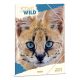 A4 Dosszié Icons Of The Wild-Serval (5503) 25 - Ars Una
