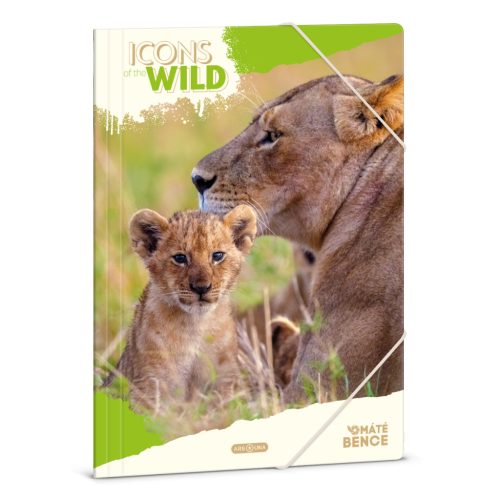 A4 Dosszié Icons Of The Wild-Lions (5504) 25 - Ars Una