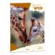 A4 Dosszié Icons Of The Wild-Giraffes (5505) 25 - Ars Una