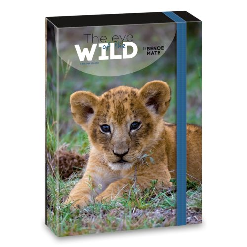 A/4 Füzetbox The Eyes Of The Wild - Lion (5216) 22 - Ars Una