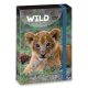 A/4 Füzetbox The Eyes Of The Wild - Lion (5216) 22 - Ars Una