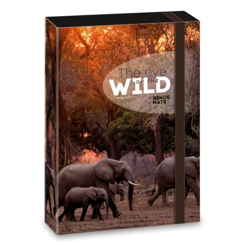 A/4 Füzetbox The Eyes Of The Wild - Elephant (5217) 22 - Ars Una