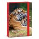 A/4 Füzetbox Serenity-Tiger (5332) 23 - Ars Una