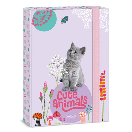 A/4 Füzetbox Cute Animals- Kitten (5368) 24 - Ars Una