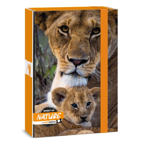 A/4 Füzetbox Máté Bence-Lion (5433) 24 - Ars Una