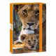 A/4 Füzetbox Máté Bence-Lion (5433) 24 - Ars Una