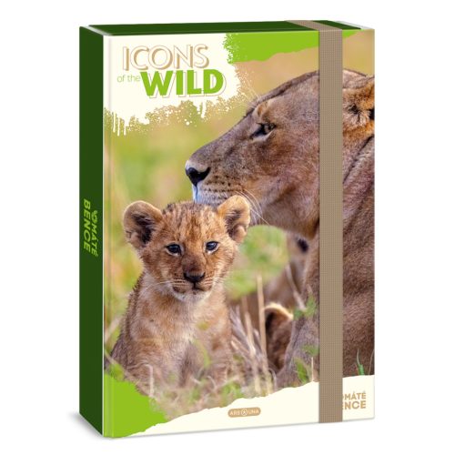 A/4 Füzetbox Icons Of The Wild-Lions (5504) 25 - Ars Una
