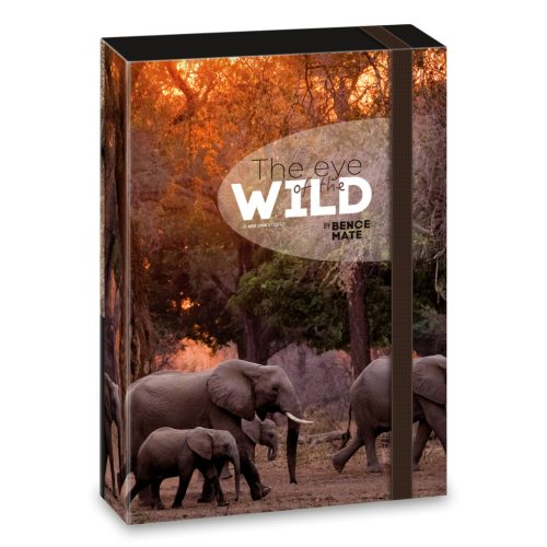 A/5 Füzetbox The Eyes Of The Wild - Elephant (5217) 22 - Ars Una
