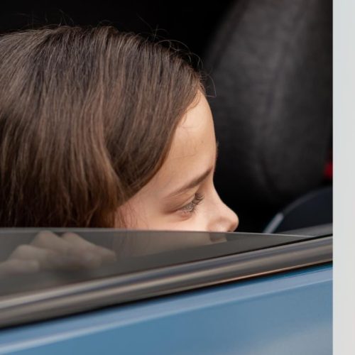 Inglesina Cartesio I-Size Moon Grey