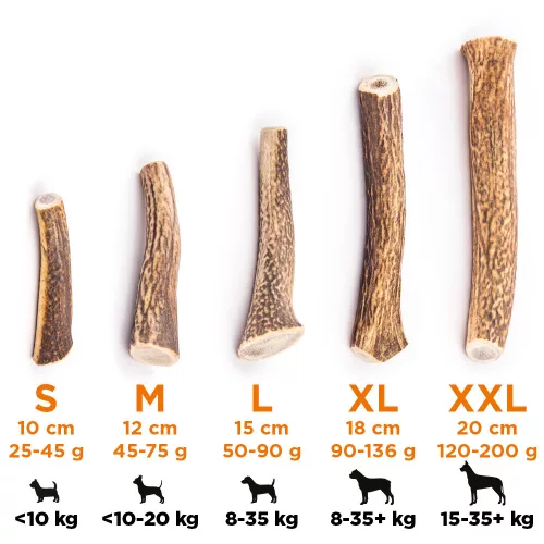 EXPLORER DOG Rágható szarvasagancs XL kemény