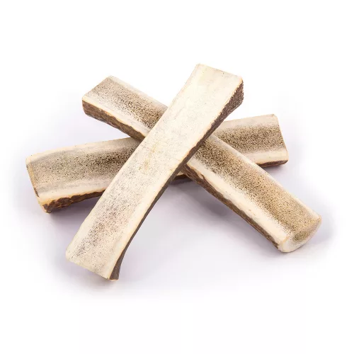 EXPLORER DOG Rágható szarvasagancs XXL  puha