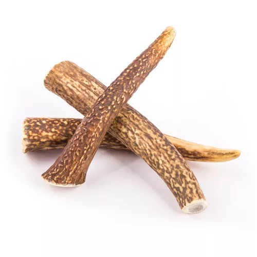 EXPLORER DOG Rágható szarvasagancs XXL kemény