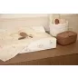   Hajkefe és fésű Bébé-Jou Mocha Mousse természetes sörtével