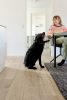 DogSpace Max M kutyatér korlát, fém, fekete