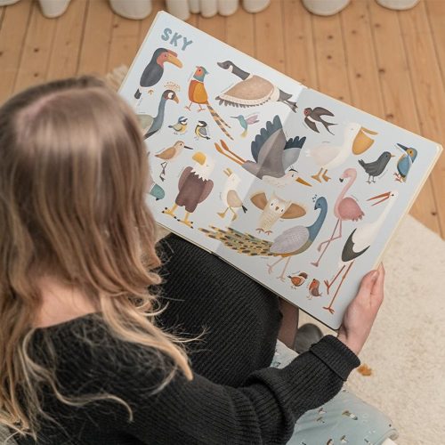 Little Dutch képeskönyv - my first animal book